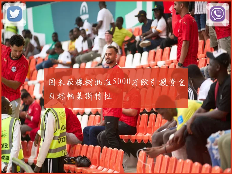 国米获橡树批准5000万欧引援资金目标帕莱斯特拉