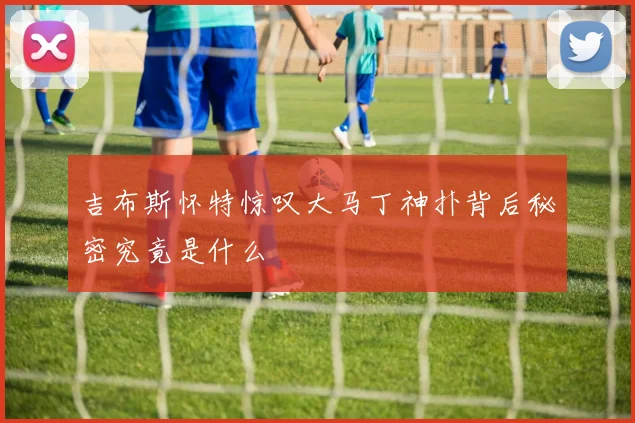 吉布斯怀特惊叹大马丁神扑背后秘密究竟是什么