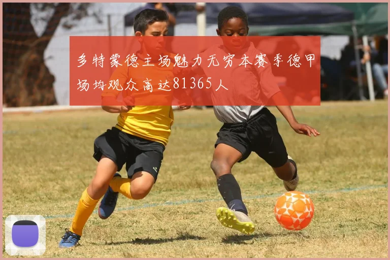 多特蒙德主场魅力无穷本赛季德甲场均观众高达81365人
